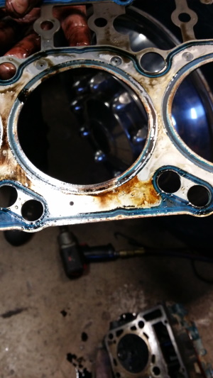 Colorado Springs Head Gasket Repair